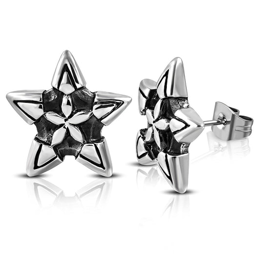 Stainless Steel 2-tone Star Stud Earrings (pair)